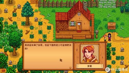 履云录游戏好玩吗(精选出这20款单机游戏)插图19