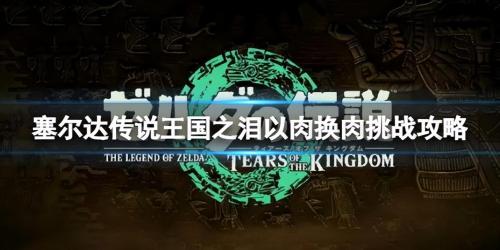 王国之泪以肉还肉迷你挑战攻略(塞尔达传说王国之泪以肉换肉挑战攻略)插图