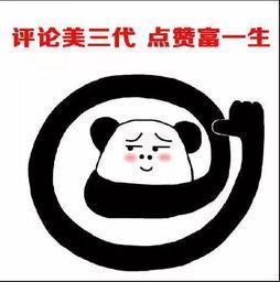 三国杀董卓阵容搭配推荐(三国杀中无脑的武将组合)