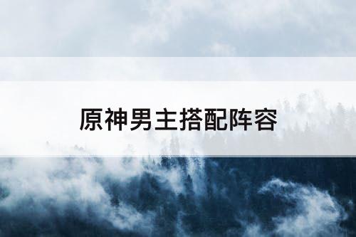 手游原神阵容搭配推荐男士(原神男主搭配阵容)