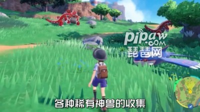 格斗系宝可梦阵容搭配推荐(宝可梦对决阵容搭配推荐)插图