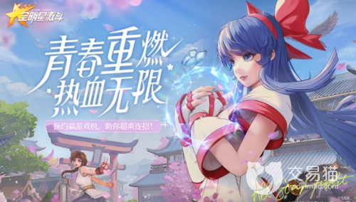 闪耀搭配推荐阵容(全明星激斗闪耀妹妹队如何搭配)插图