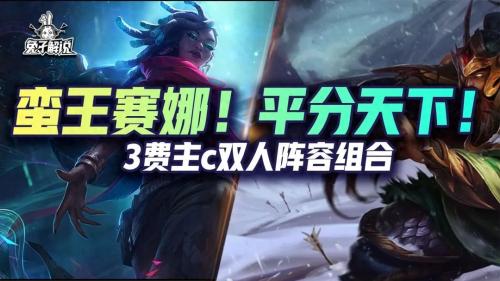 双人炼金阵容搭配推荐(金铲铲之战双人模式万金油组合)插图