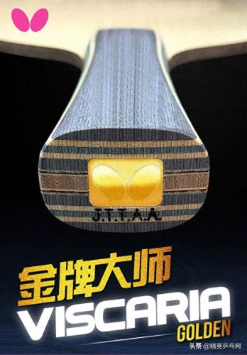 新惊天动地弓箭手学哪些技能书(新惊天动地强化技能书)插图12