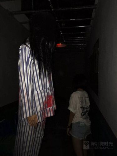 鬼屋密室绝地逃生攻略(密室逃生古堡攻略)插图13