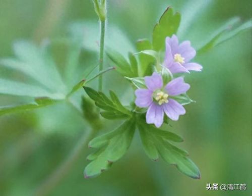 质量效应3破坏技能(质量效应3怎么释放技能)插图12