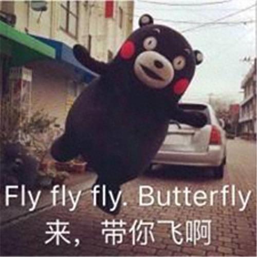 诺亚传说怎么和装备(诺亚传说装备怎么继承)插图