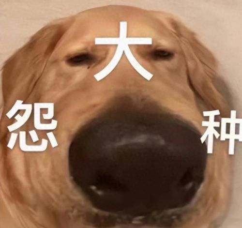 武器店物语太难玩(武器店物语怎么开局)插图2