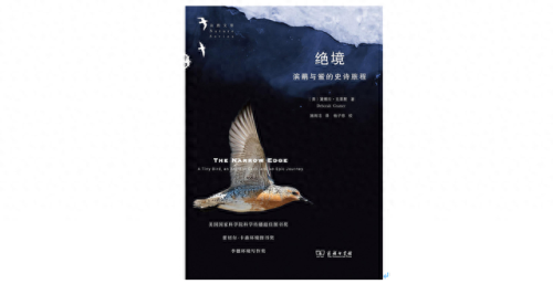 剑与家园在哪溶解装备(剑与家园如何打开背包)插图