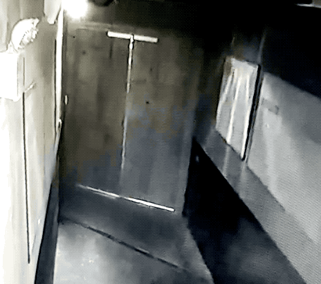 鬼屋密室绝地逃生攻略(密室逃生古堡攻略)插图8