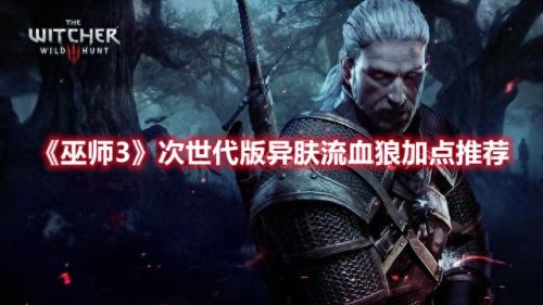 巫师3一级点什么技能(巫师3几级能加技能点)插图