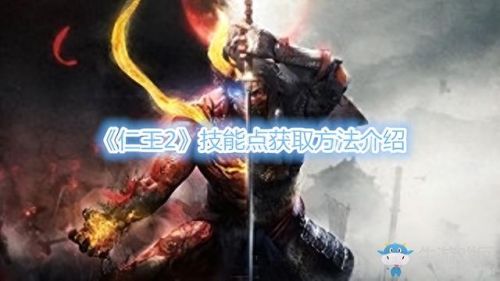 仁王学不到技能呢(仁王1斧头技能)