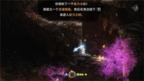 奥日与黑暗森林里攻略视频(奥日与黑暗森林怎么爬)插图13