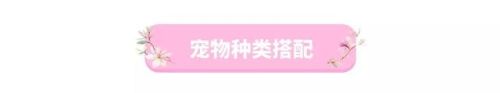 手游梦幻西游69月宫潜能点(梦幻西游手游69月宫奇经八脉)插图33