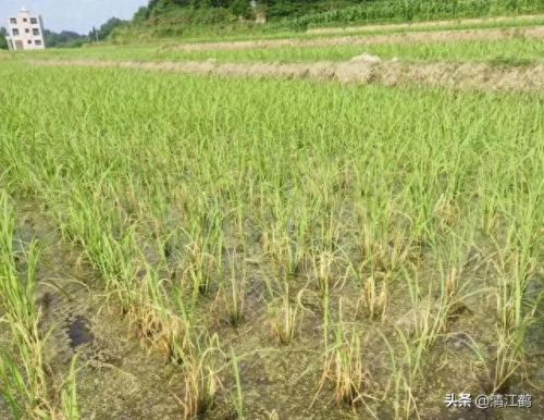 质量效应3破坏技能(质量效应3怎么释放技能)插图17