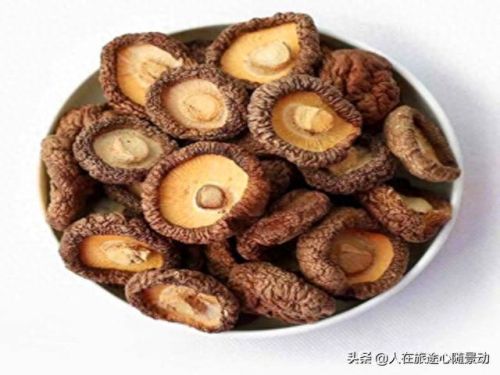 绿谷出久改过几次装备(绿谷出久)插图9
