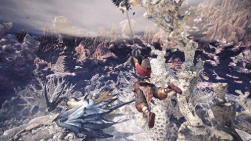 怪物猎人p3峰山武器(怪物猎人p3什么武器最快)插图