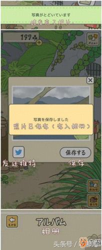 青蛙攻略先买什么(青蛙通关攻略)插图2