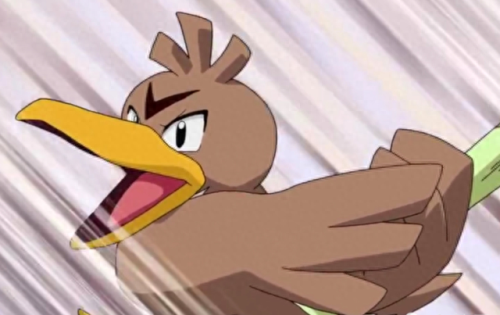 口袋妖怪飞翔技能在哪里(宝可梦飞翔技能在哪学)插图 口袋妖怪飞翔技能在哪里(宝可梦飞翔技能在哪学)插图