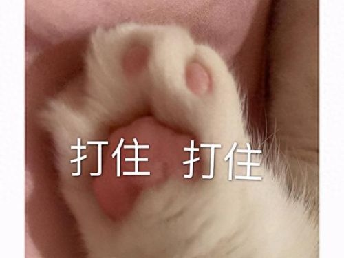 虐杀原形1技能出招表(虐杀原形1 秘籍)插图9