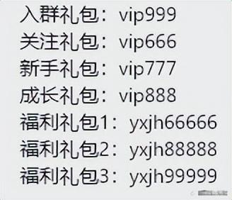 热血江湖手游正剑装备选择(热血江湖手游正剑绝技)