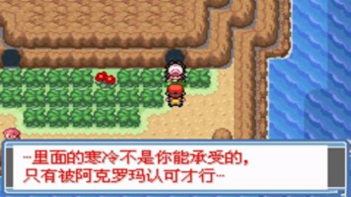 口袋怪兽永恒之焱攻略(永恒之炎口袋妖怪攻略)插图6