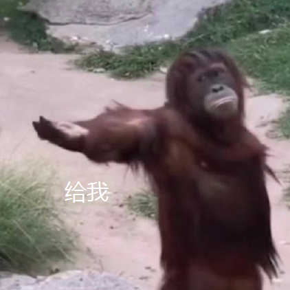 梦幻西游绿色通道有等级要求吗(梦幻西游绿色通道都给什么)插图2