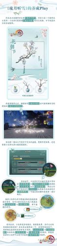 剑网三花朝节攻略(剑网三花灯节)插图1