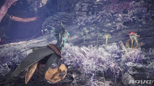 怪物猎人村6星装备(怪物猎人新人开荒武器)插图16