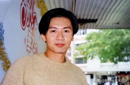 凤凰心计战斗力攻略(凤凰心计新手怎么玩)插图4
