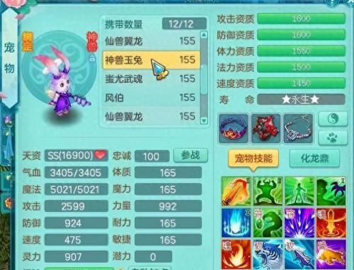 神武2宠物带装备怎么炼妖(神武2普陀带什么宠物)插图19