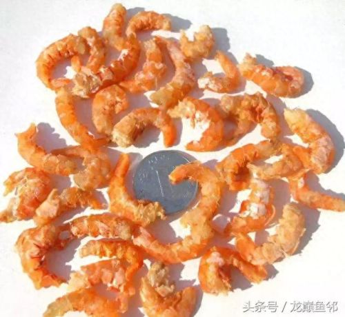皮皮虾宝宝上什么技能(皮皮虾小孩特效)插图7
