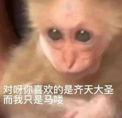 梦幻西游绿色通道有等级要求吗(梦幻西游绿色通道都给什么)插图1