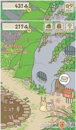 青蛙攻略先买什么(青蛙通关攻略)插图