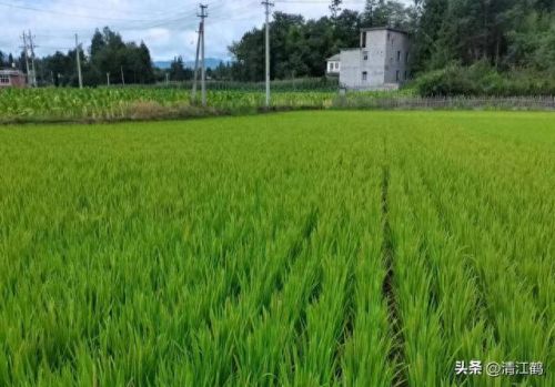 质量效应3破坏技能(质量效应3怎么释放技能)插图21