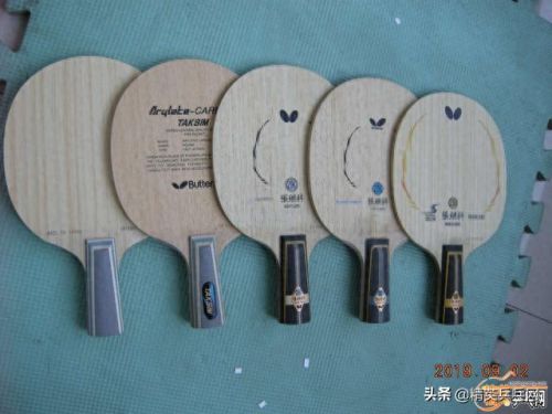 新惊天动地弓箭手学哪些技能书(新惊天动地强化技能书)