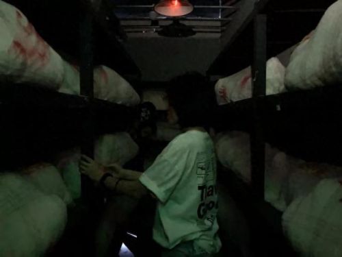 鬼屋密室绝地逃生攻略(密室逃生古堡攻略)插图9