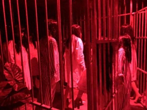 鬼屋密室绝地逃生攻略(密室逃生古堡攻略)插图18
