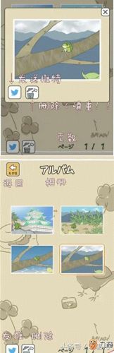 青蛙攻略先买什么(青蛙通关攻略)插图3
