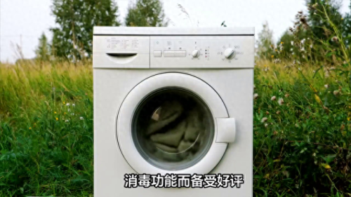 油桶洗衣机十大品牌排行榜(不锈钢油桶十大品牌)