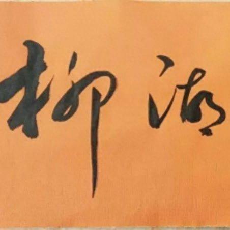 《口袋妖怪-叶绿》金珠图文攻略(口袋妖怪叶绿宝石攻略)插图