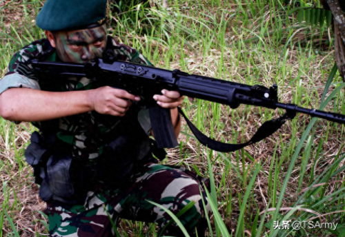 ar15 副武器(ar15属于什么武器)插图9