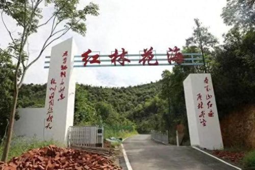 完美世界无线幻境羽灵攻略(完美世界经典服羽灵全攻略)插图41