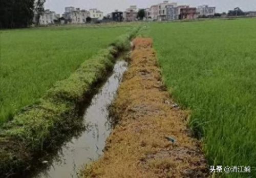 质量效应3破坏技能(质量效应3怎么释放技能)