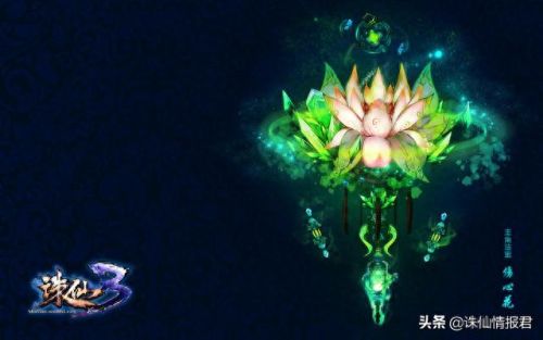 诛仙 合欢装备外观(诛仙合欢法宝技能选择)