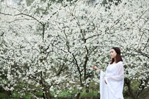 《口袋妖怪-叶绿》金珠图文攻略(口袋妖怪叶绿宝石攻略)插图19