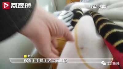口袋妖怪 混乱世界1.1攻略(口袋妖怪荒芜世界冲浪)插图7