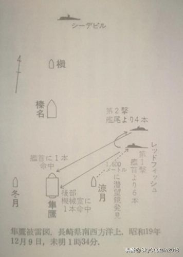 舰r轻母隼鹰装备(隼鹰为原型的飞机)插图22