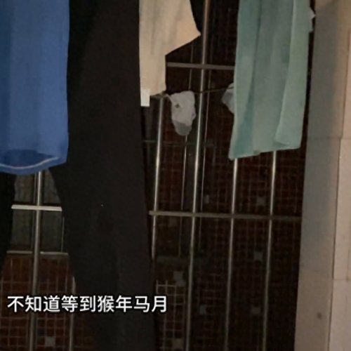 更新后灯10攻略(灯神10扫荡奖励)插图