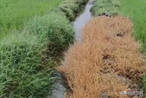 质量效应3破坏技能(质量效应3怎么释放技能)插图22